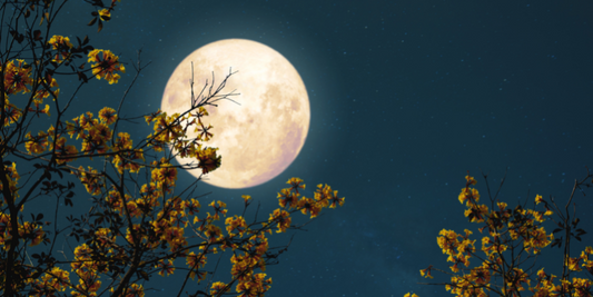 Creating a Full Moon Manifesting Ritual (Online)